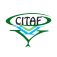 CITAF